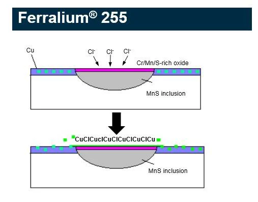 TP046 - High-Performance Alloys for Demanding Applications