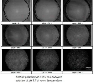 TP49 - Corrosion Resistance of super duplex stainless steels - the influence of copper and tungsten additions
