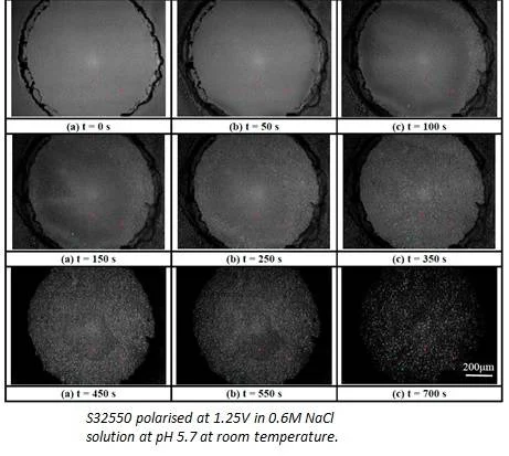 TP49 - Corrosion Resistance of super duplex stainless steels - the influence of copper and tungsten additions