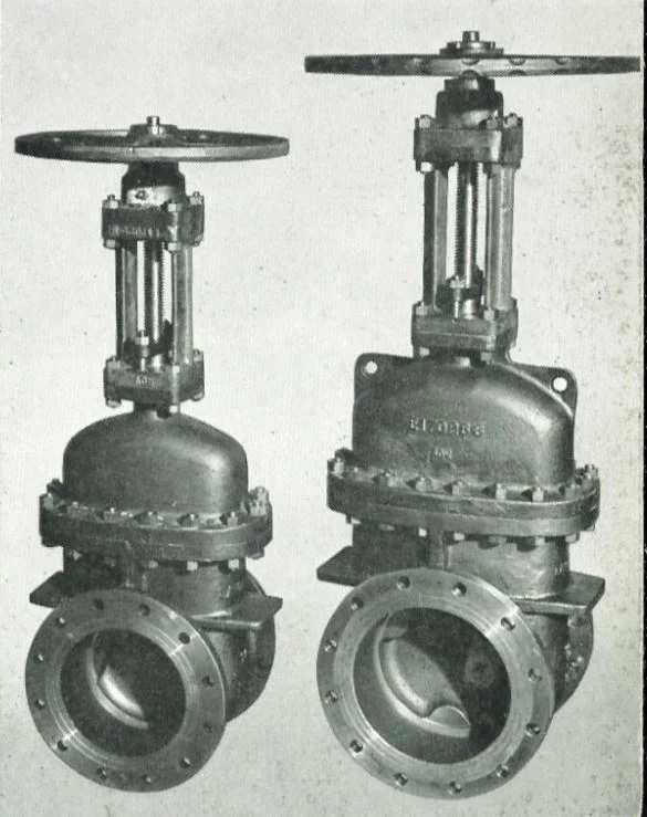 CS67 - Ferralium 255 - Gate Valves