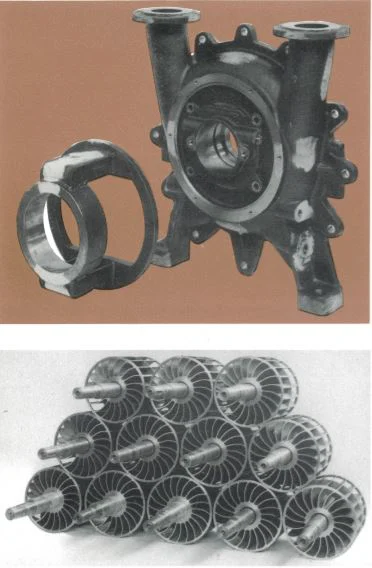 CS119 - Ferralium 255 - Liquid Ring Gas Pumps